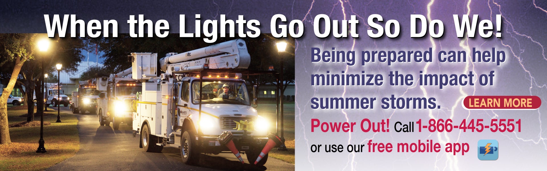 Home Palmetto Electric Cooperative